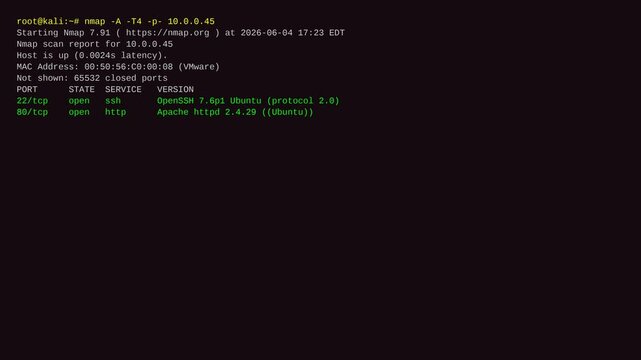 Nmap Aggressive Port Scan Linux Terminal Discovering Vulnerable Open Ports Cybersecurity Infrastructure Audit Visual For Cloud Server Defense System Administration Information Technology And Data Tech