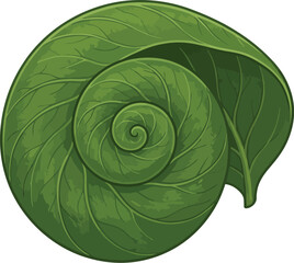 Obraz premium Leaf spiral formation showcases a unique botanical pattern inspired by natural geometry.