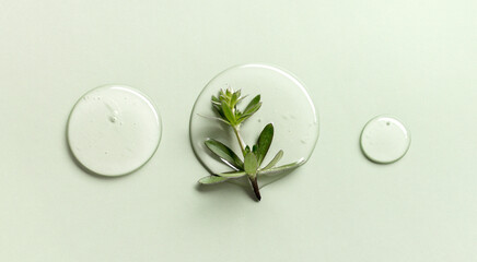 Clear gel texture with herbal elements on soft green background. Translucent skincare gel with leaves. © Екатерина Клищевник