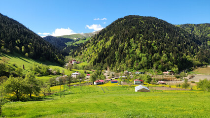 Obraz premium Spring landscape of Uzundere Village in Dereli, Giresun, featuring lush green hills, rural scenery, and the natural beauty of Türkiye’s Eastern Black Sea region.