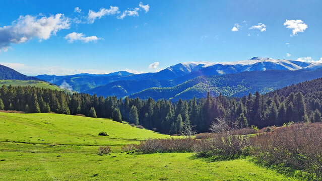 K&uuml;mbet Plateau in Dereli, Giresun, is a scenic Black Sea highland known for its lush green meadows, dense spruce forests, and snow-capped mountains that create a striking contrast during spring and su