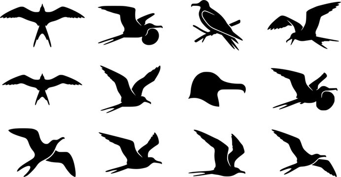 Great frigate silhouette icon set, flat black glyph style, pure white background