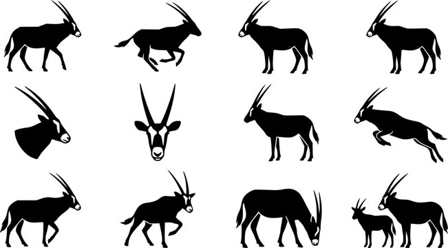 Oryx silhouette icon set, flat black glyph style, pure white background