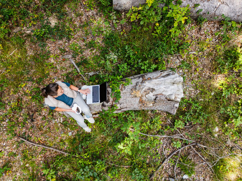 Working remotely on a laptop sitting by a log in the forest