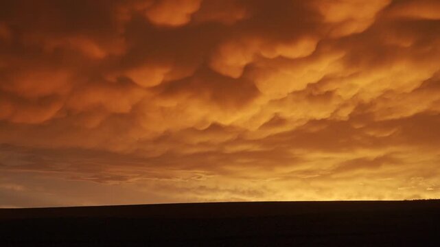 Mammatus cloud formation at sunset featuring vibrant golden orange hues. Dramatic atmospheric weather scenery capturing unique celestial beauty during the golden hour.