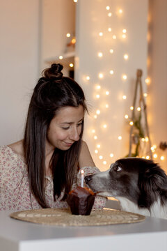 Dog owner and border collie celebrating birthday with cupcake at home