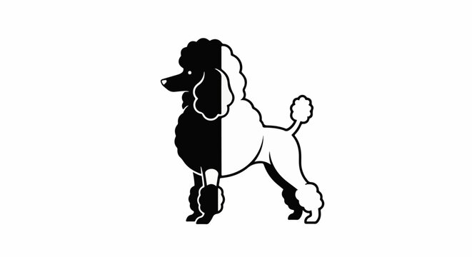 Stylized poodle silhouette, half black, half white, standing profile