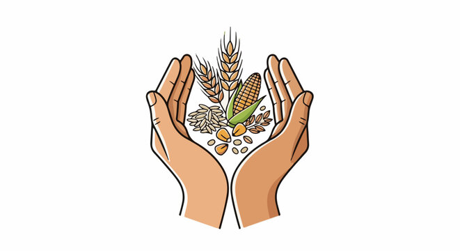 Two hands hold a collection of grains and corn