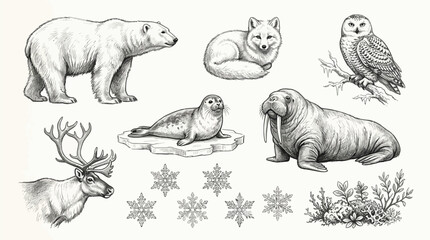 Collection of Arctic animals and winter elements in a sketch style, including a polar bear, arctic fox, snowy owl, seal, walrus, reindeer, and snowflakes. © Terra