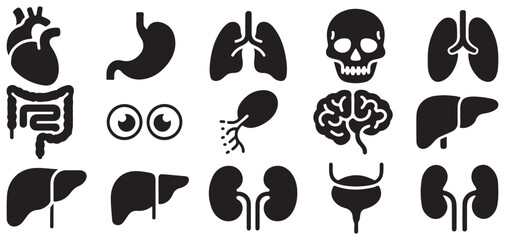 Obraz premium Human skull eye and internal organ silhouette set. vector illustration eps 10