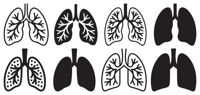 Human respiratory system lungs and rib cage vector icons. vector illustration eps 10