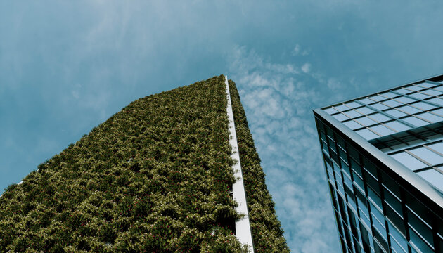 Modern sustainable skyscraper with green plant wall against blue sky