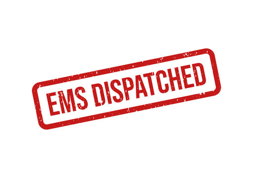 Red ems dispatched stamp or badge vector