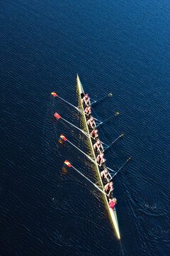 Elevated view of female's rowing eight in water