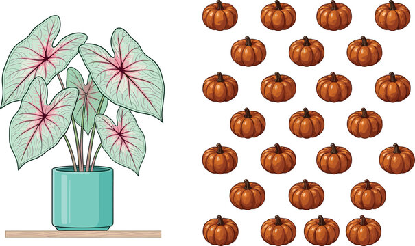 Potted caladium plant vector illustration with pink variegated leaves on a shelf next to an autumn pattern layout of miniature orange pumpkins.