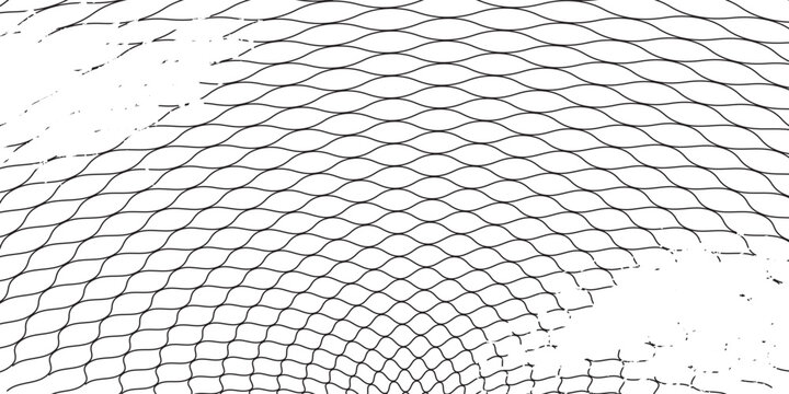 Black snake skin pattern isolated on white background eps 10