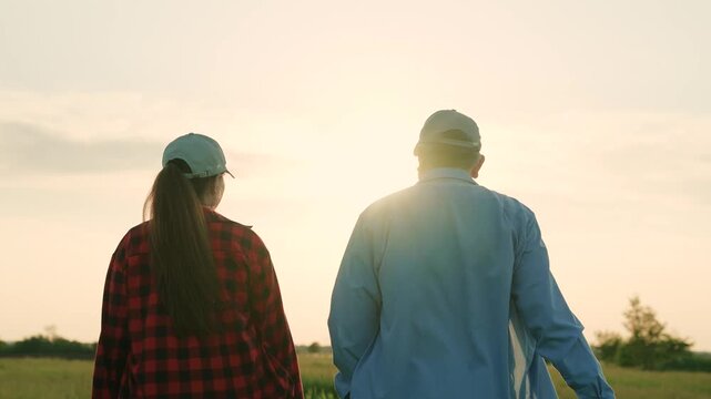 agriculture industry, two farmers work green field at sunset, field wheat, growing green plants, senior agronomist talks about work modern farming, commercial activities, financial investments
