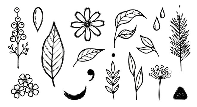 Black line art floral elements, leaf icons, and semicolon symbol, vector illustration set