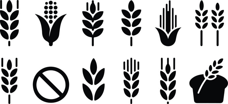 Bakery wheat logo and cereal grain icon set with rice corn oats and bread symbols