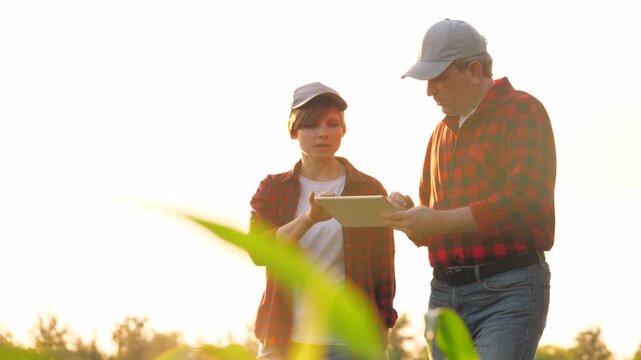 Two agricultural worker colleagues analyzing organic plant growth checking data use tablet. Man and woman farmer agronomist work as team at corn field greenery plantation harvest production control