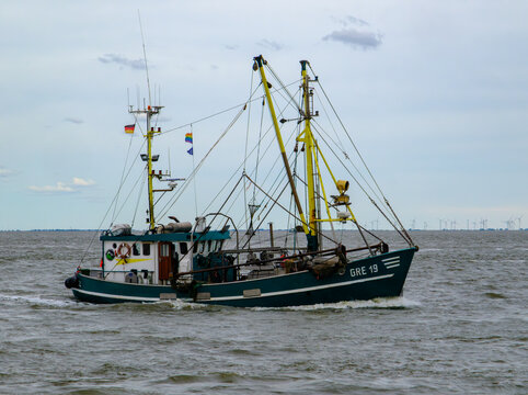 CUXHAVEN, DEUTSCHLAND &ndash; 06.05.2026: Der Krabbenfischer FLAMINGO GRE 19 auf der Elbe in H&ouml;he CUXHAVEN