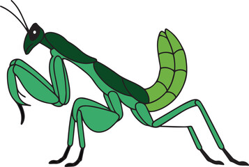 Fototapeta premium Green mantis stalking vector illustration on white background