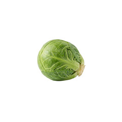 Fototapeta premium Single Brussels sprout, green, leafy vegetable