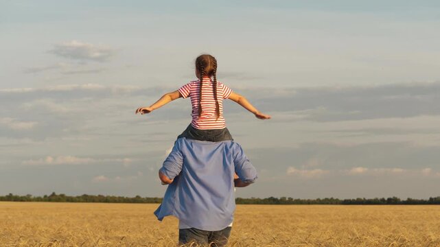 Little girl sitting on father shoulders flying over sunset dry wheat field enjoy freedom back view. Happy male parent running with daughter playing flight fantasy imagination harvest cereal plantation