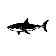 Fototapeta premium Shark silhouette black illustration vector icon graphic