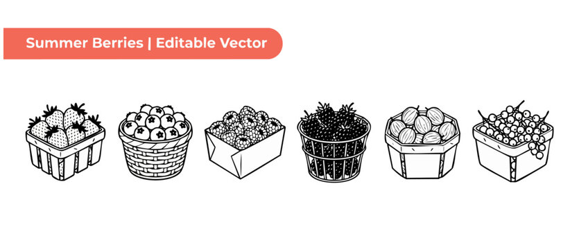 Summer berry vector icon set featuring strawberry, blueberry, raspberry, blackberry, gooseberry, and redcurrant in farm baskets. Minimalist black and white line art illustrations for food design pages