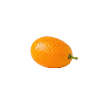 Single kumquat fruit with stem