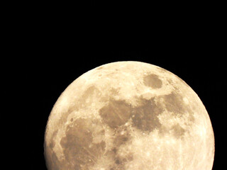 Luna © Steve Fossiant