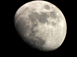 Luna © Steve Fossiant