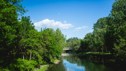 Obraz premium Green Urban Park River with Blue Sky Reflections