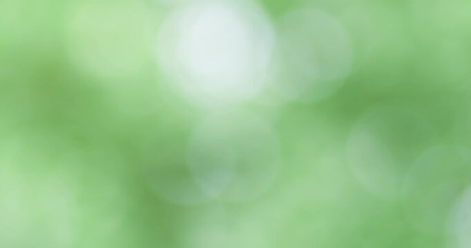 Soft green bokeh background with blurred light circles creating a fresh, natural, relaxing atmosphere for graphic design and presentation use