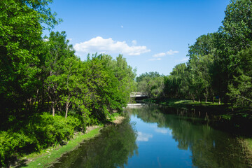 Fototapeta premium Calm Urban Park Waterway Surrounded by Green Trees