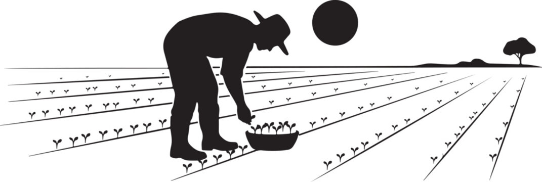 Black silhouette of man planting seeds in rows of soil farmer