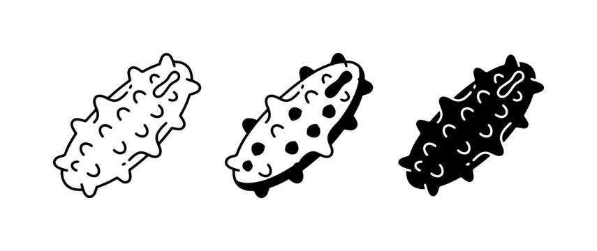Sea Cucumber Icons, Marine Life Vector Graphics, Ocean Creature Illustrations