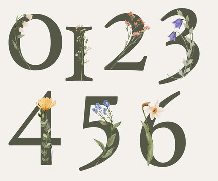 Watercolor floral numbers collection with elegant botanical details. Decorative vintage style numerals feel romantic and artistic and perfect for creative projects.