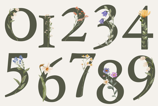 Watercolor floral numbers set 0-9 with delicate botanical elements. Elegant decorative numerals feel soft and romantic and ideal for invitations or branding.
