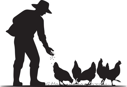 Man feeding chickens silhouette black white background