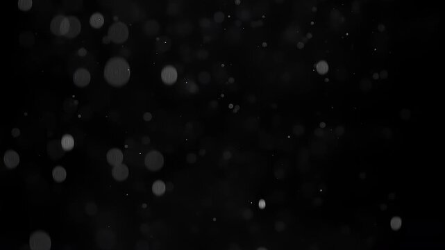 Weightless White Particles. Small white particles flow in the air on a black background. Slow Motion