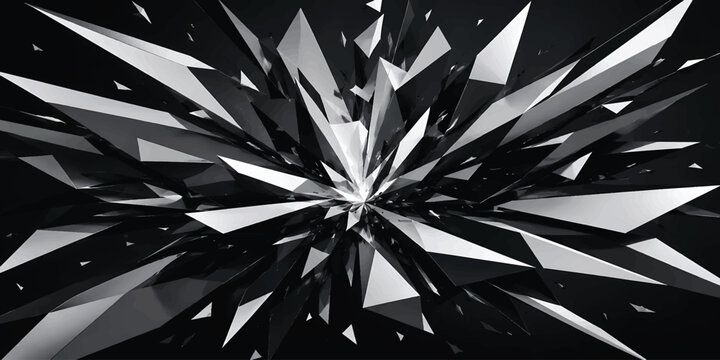 An abstract black and white fractal background forms a winter snowflake design, mimicking a nature pattern that resembles a macro flower or exploding cactus star