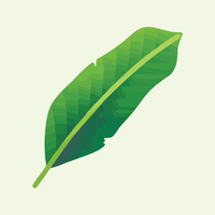 Tropical Green Monstera Leaves Flat Vector Icon Illustration © Ahmad
