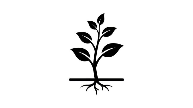 Black silhouette of growing plant sprout.
