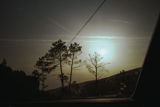 sunset in the forest