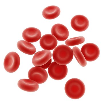 Red blood cells flowing in a medical illustration