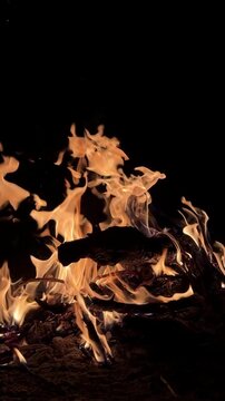 Bright Orange Flames and Wood Logs Burning at Night