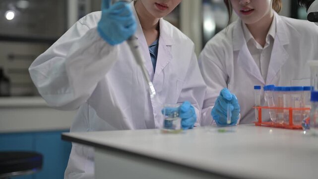 Students conduct hands-on science experiments in laboratory setting