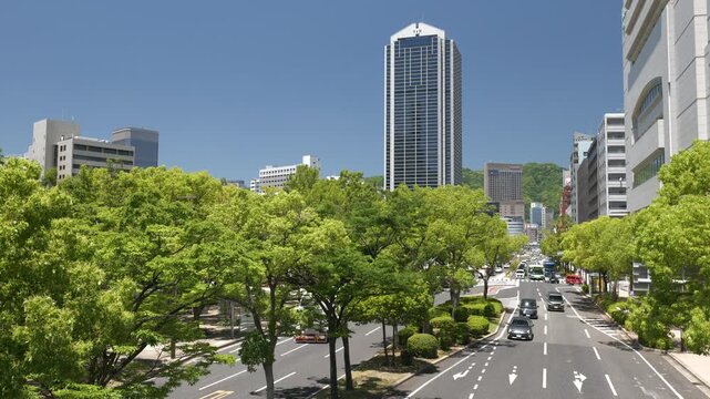 神戸三宮 市役所とフラワーロードの並木